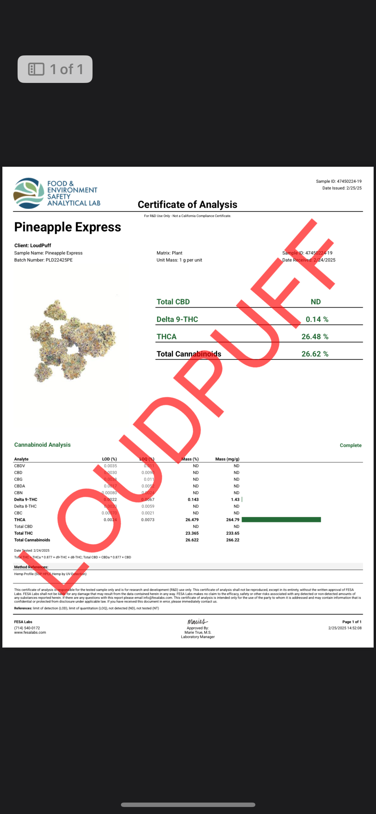 🏆Smokers Cup Pineapple Express THCa Flower 🏆
