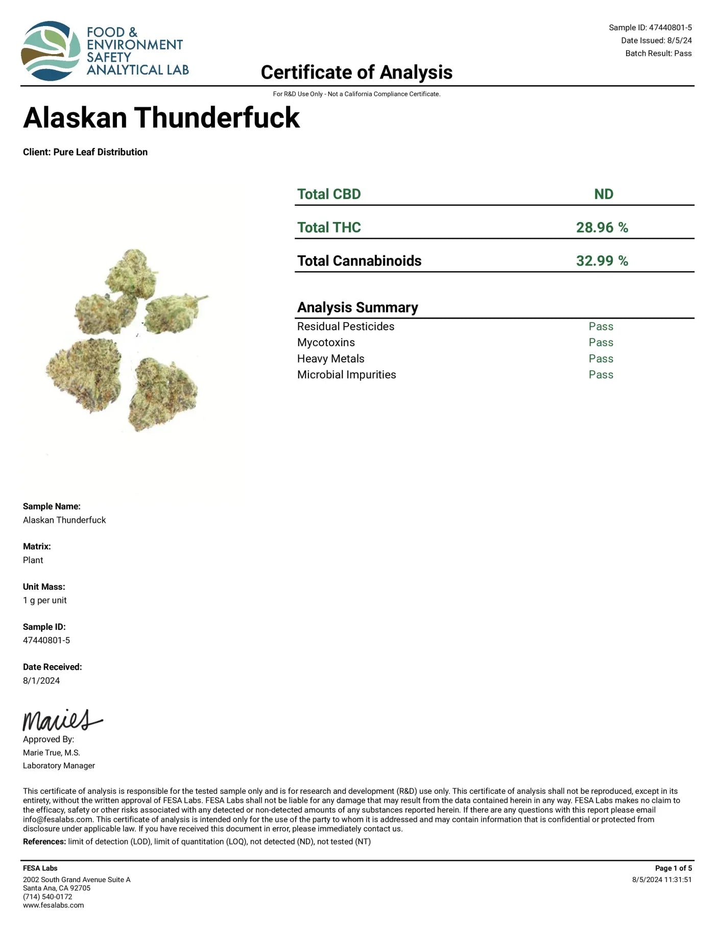 Alaskan Thunderf*ck AAAA+ Exotic THCa Flower - Sativa - Elevate Montgomery - Sky High Montgomery cincinnati