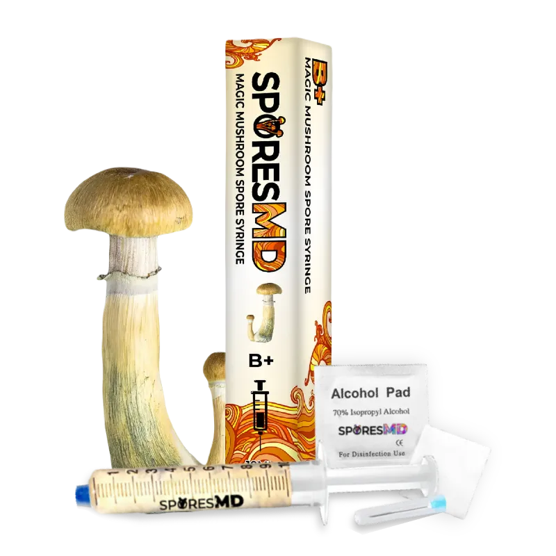 SporesMD Mushroom Spores Syringes - 10ml - SporesMD - Sky High Montgomery cincinnati