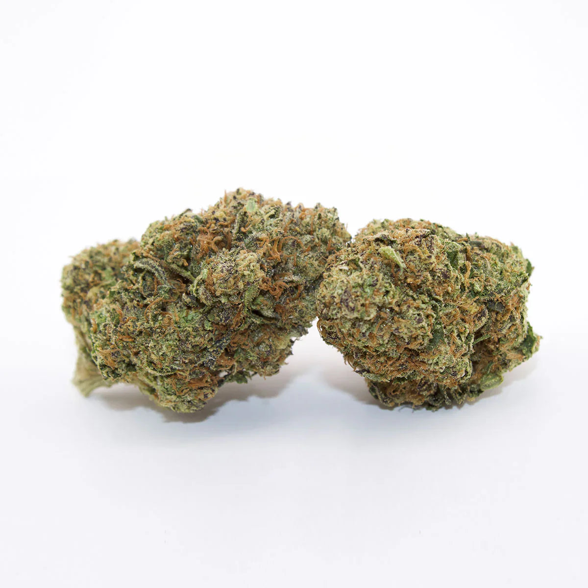 Ignite - Premium THCa Flower - Ignite - Sky High Montgomery cincinnati