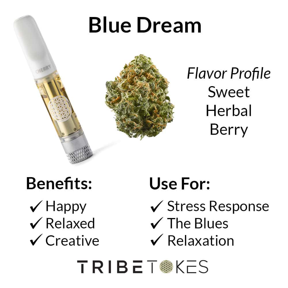 Tribe Tokes Top Shelf THCa Flower - Tribe Tokes - Sky High Montgomery cincinnati