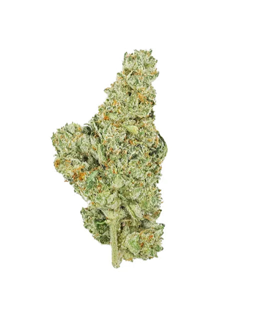 Jet Fuel Exotic Indoor THCa Flower - Elevate Montgomery - Sky High Montgomery cincinnati