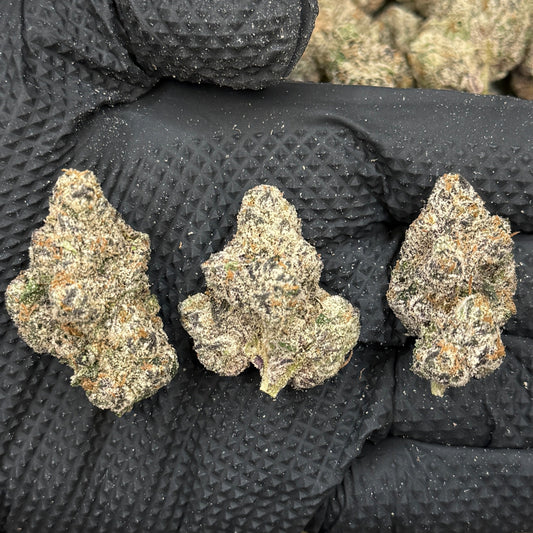 White Bubble Gum Gelato - Platinum Indica Dom Flower - Elevate Montgomery - Sky High Montgomery cincinnati