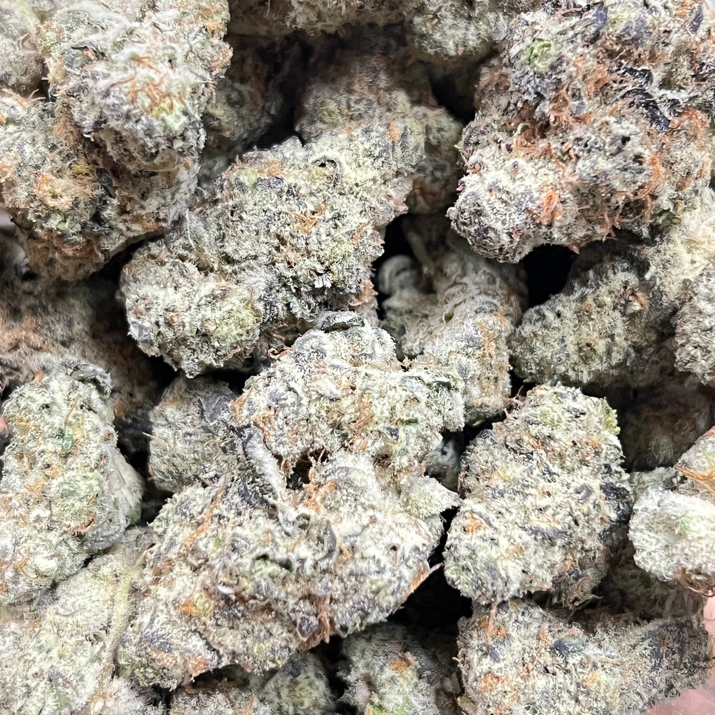 🏆Do Si Do Smoker's Cup Platinum THCa Flower🏆 - Elevate Montgomery - Sky High Montgomery cincinnati