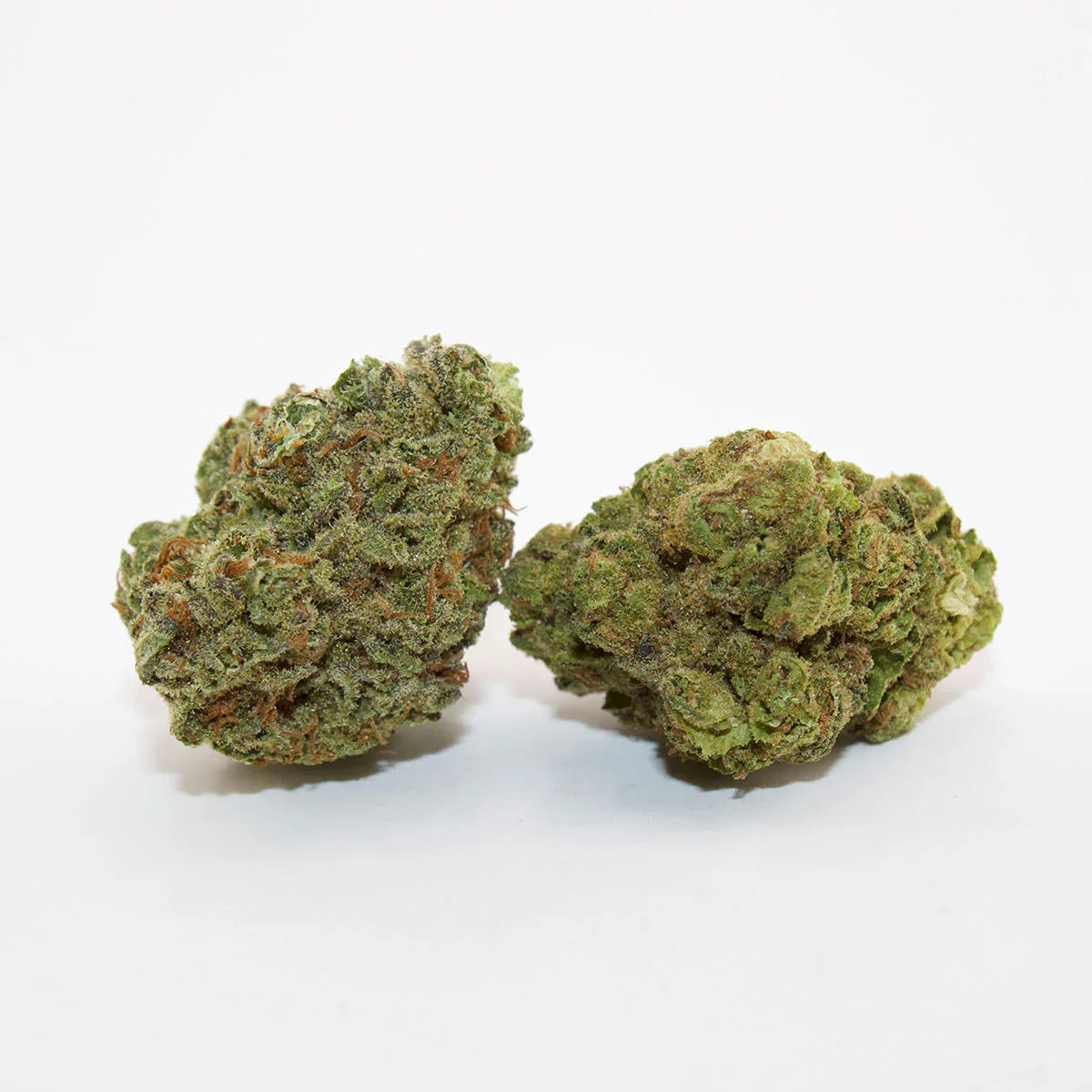 Ignite - Premium THCa Flower - Ignite - Sky High Montgomery cincinnati