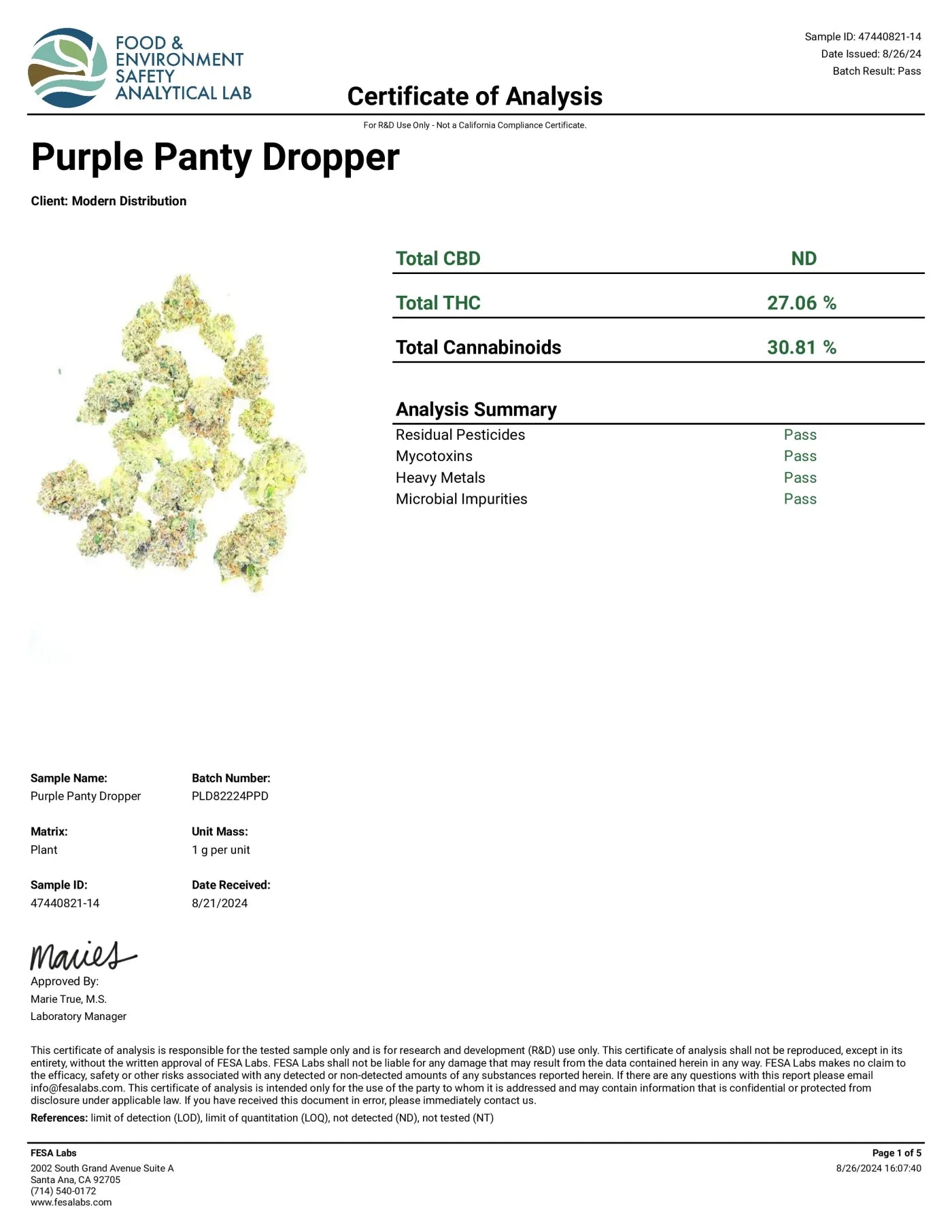 Purple Panty Dropper AAAA+ Exotic THCa Flower - Indica - Elevate Montgomery - Sky High Montgomery cincinnati