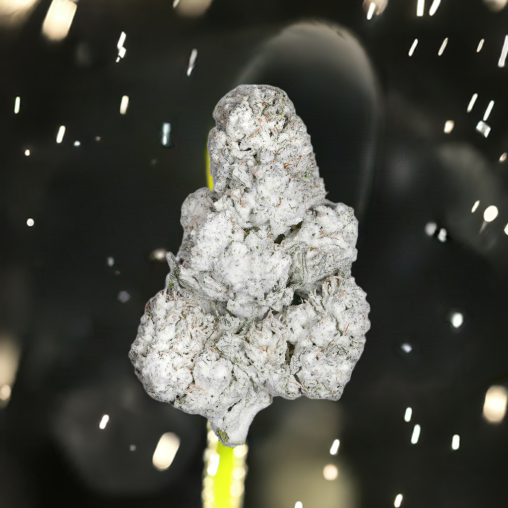Cold As Ice Snowballs Exotic THCa Flower - Sativa - Voodoo Labs - Sky High Montgomery cincinnati