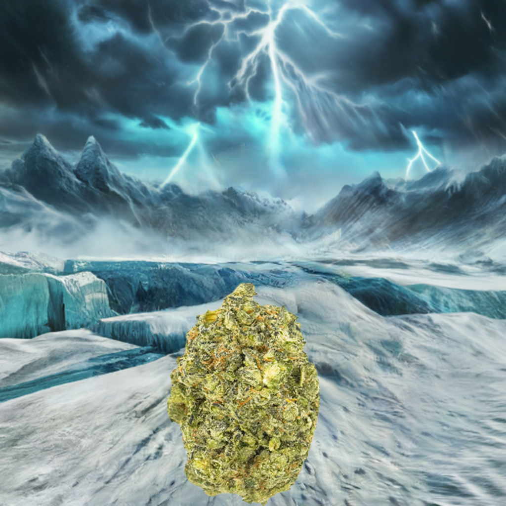 Alaskan Thunderf*ck AAAA+ Exotic THCa Flower - Sativa - Elevate Montgomery - Sky High Montgomery cincinnati