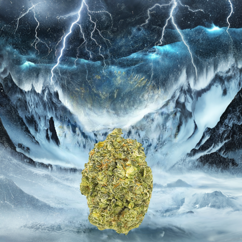 Alaskan Thunderf*ck AAAA+ Exotic THCa Flower - Sativa - Elevate Montgomery - Sky High Montgomery cincinnati