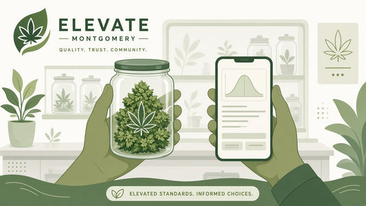 Cartoon illustration of hands matching a cannabis jar to a lab report on a phone at Elevate Montgomery.