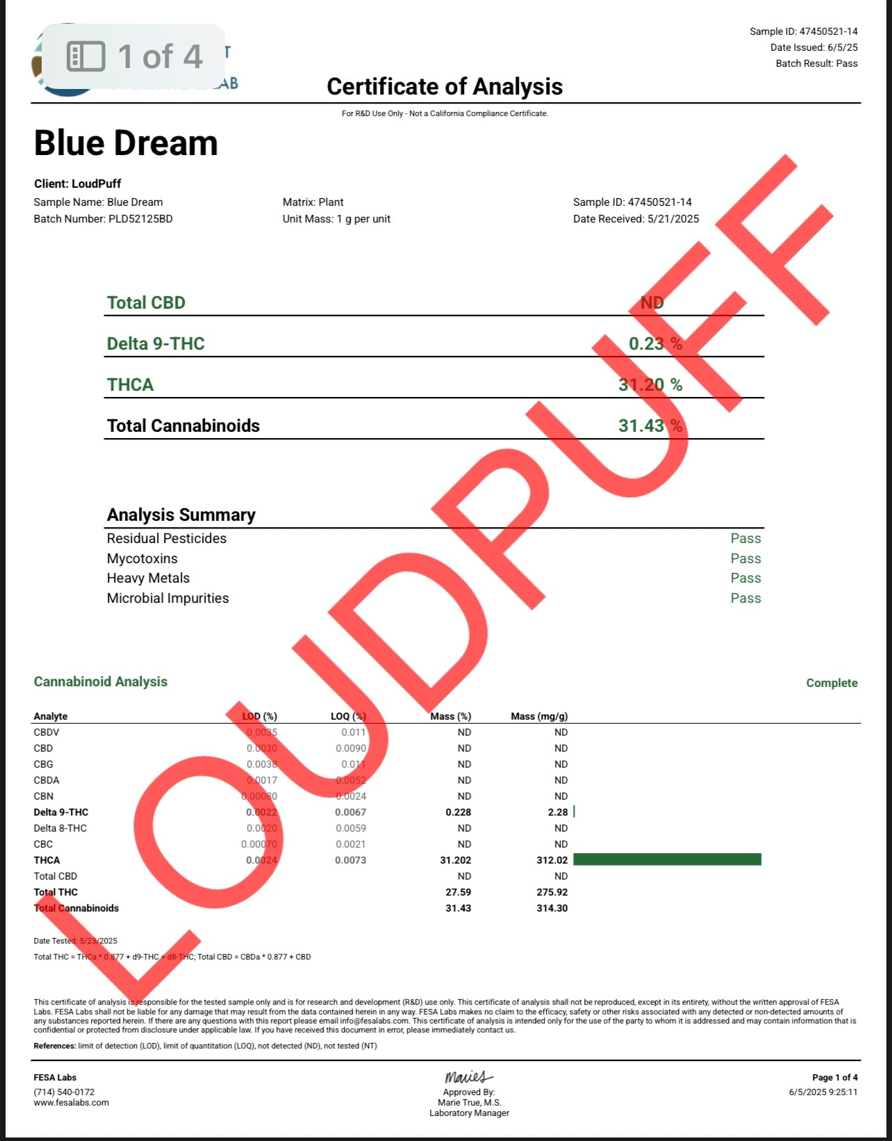 🏆Smokers Cup Blue Dream THCa Flower🏆