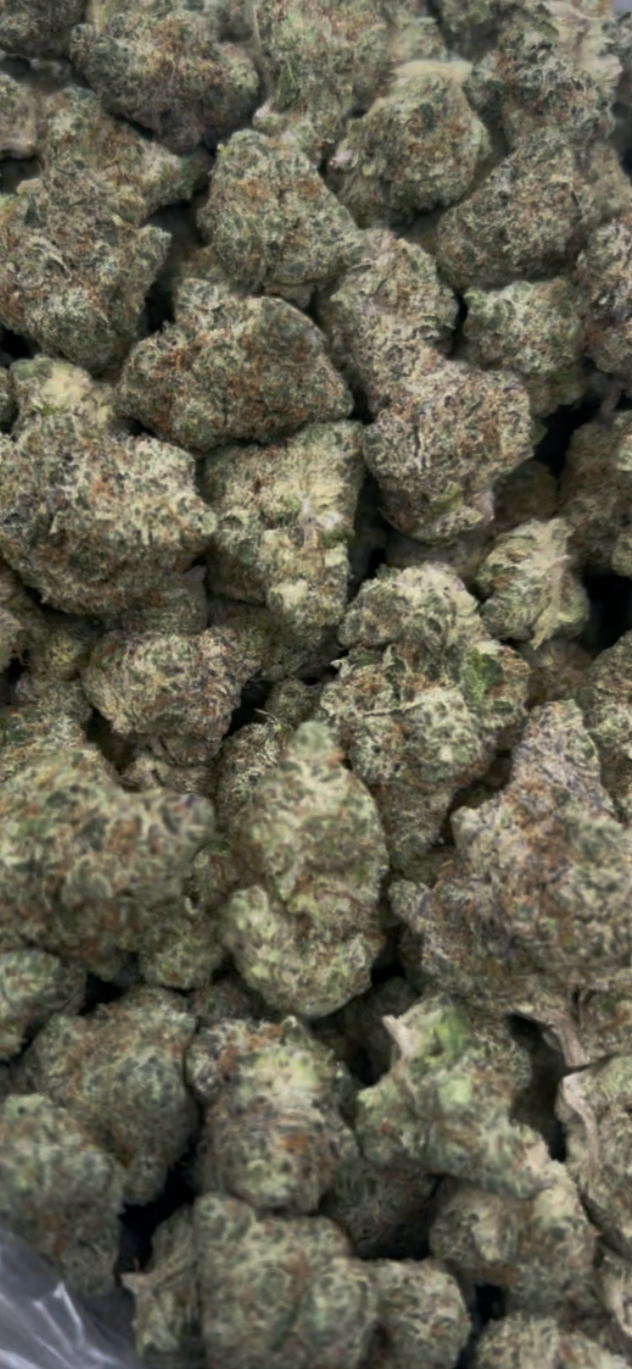 🏆Smokers Cup Blue Dream THCa Flower🏆