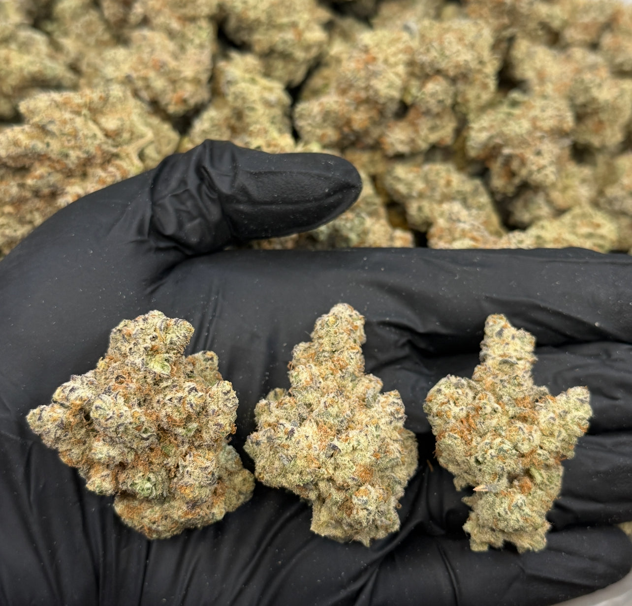 🏆Smokers Cup Galactic Warheadz Platinum THCa Flower🏆 - Elevate - Sky High Montgomery cincinnati