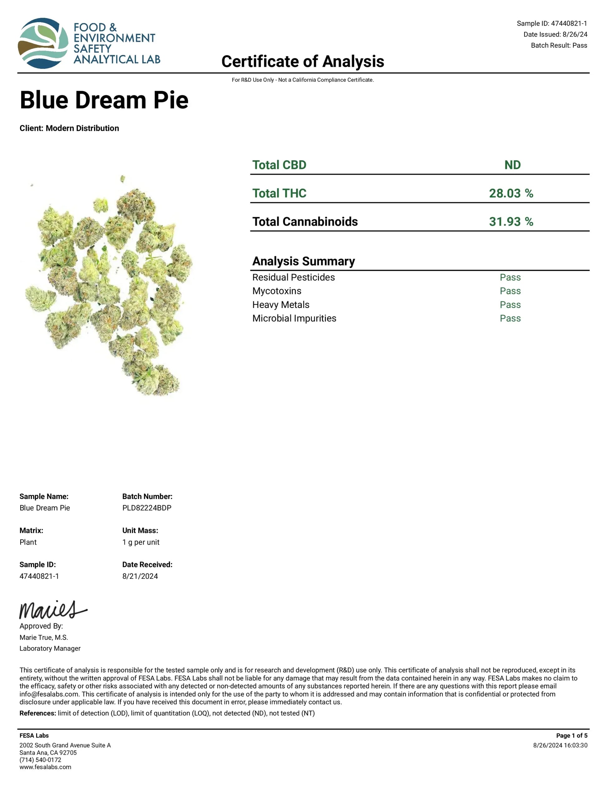 Blue Dream Pie Indoor Boutique THCa Flower - Hybrid - Elevate Montgomery - Sky High Montgomery cincinnati