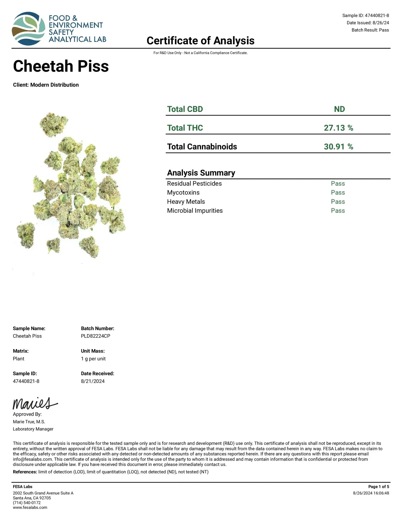 Cheetah Piss Indoor Boutique THCa Flower - Hybrid