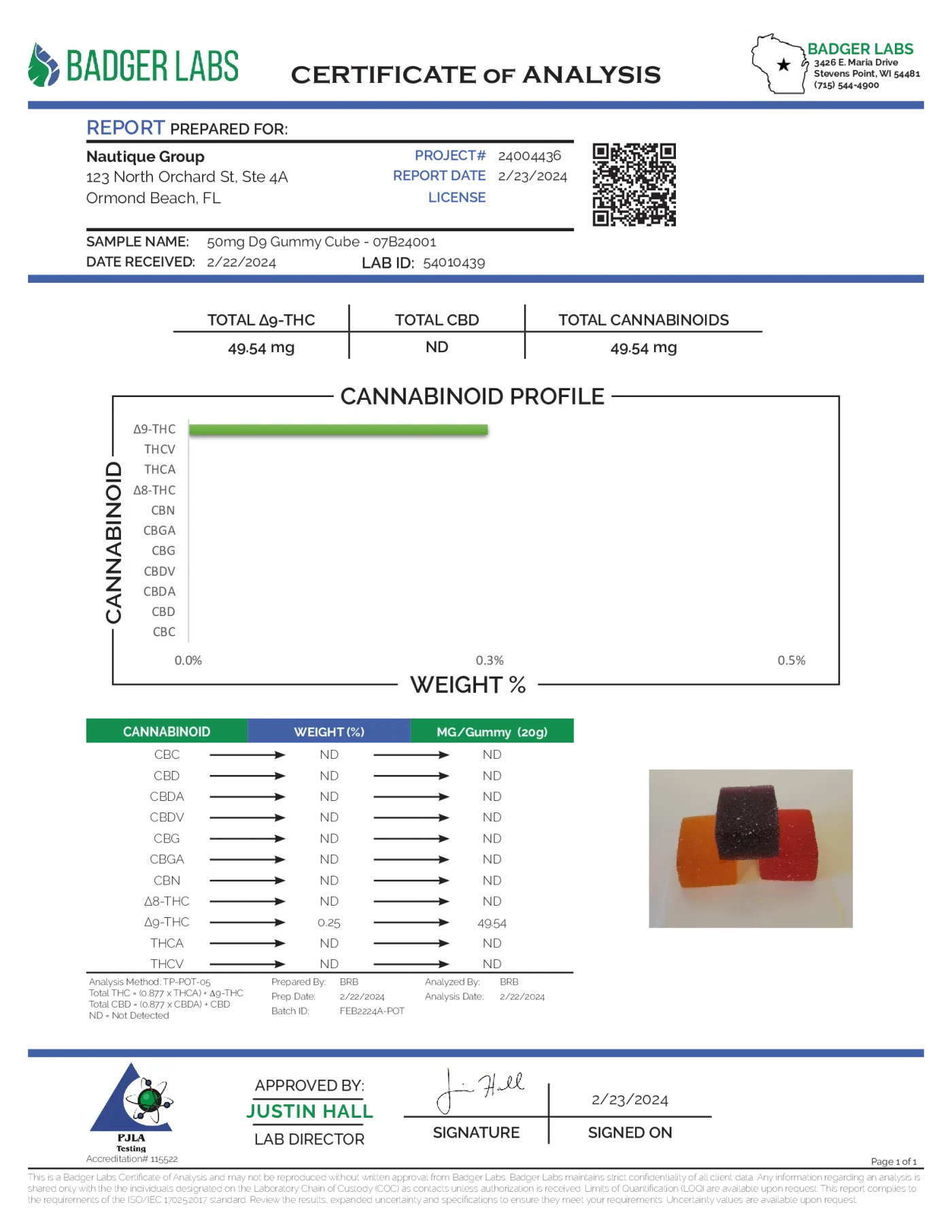 Gas Boys - NANO D9 THC GUMMIES 50mg Go Pack - Gas Boys - Sky High Montgomery cincinnati