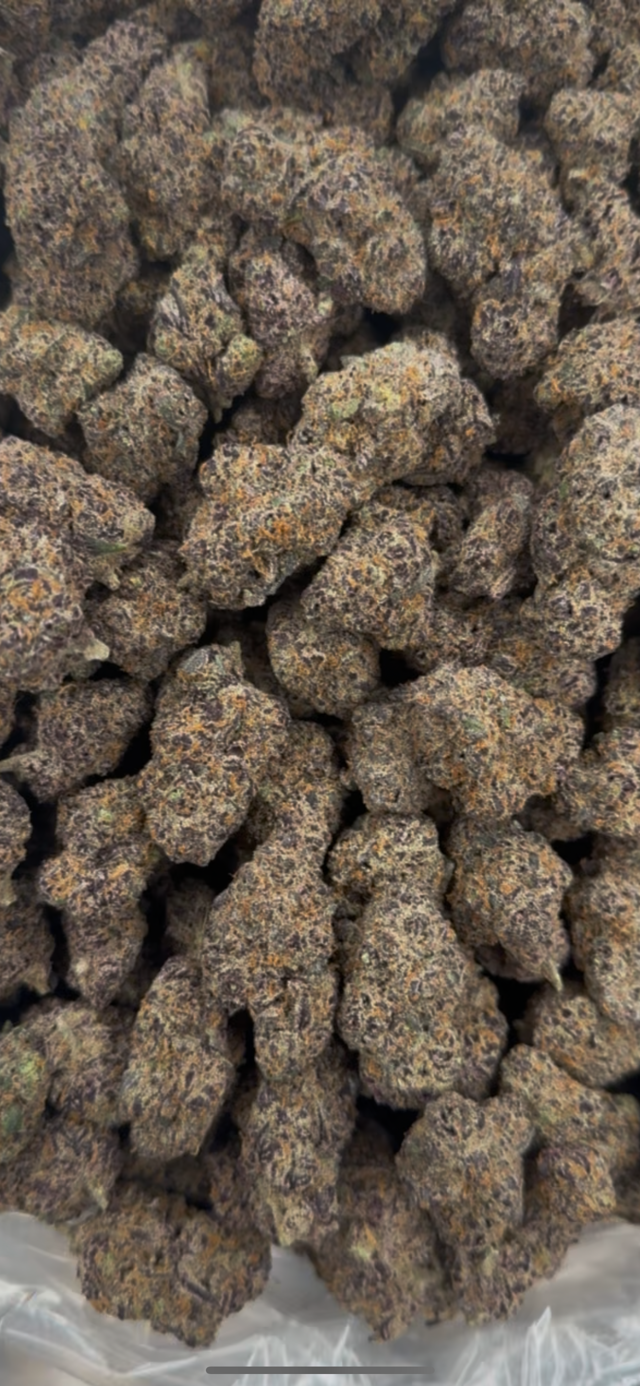 🏆Smokers Cup Gushers THCa Flower🏆