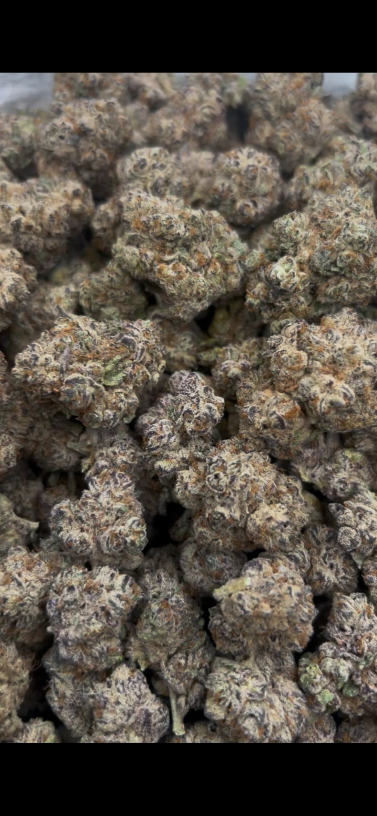 🏆Smokers Cup Pineapple Express THCa Flower 🏆