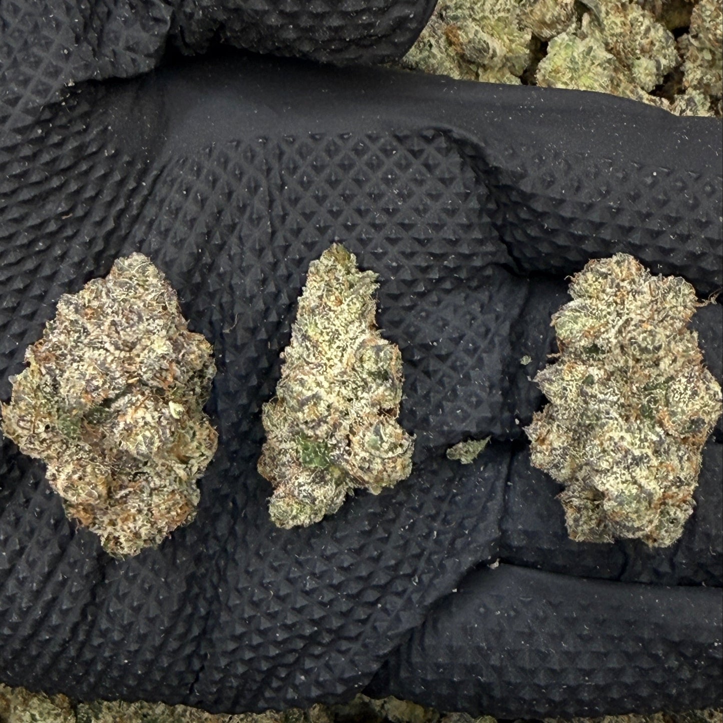 Cereal Milk - Platinum Hybrid Flower - Elevate Montgomery - Sky High Montgomery cincinnati