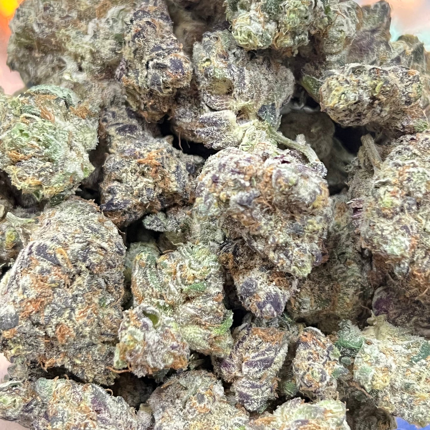 🏆White Russian Smoker's Cup Platinum THCa Flower🏆