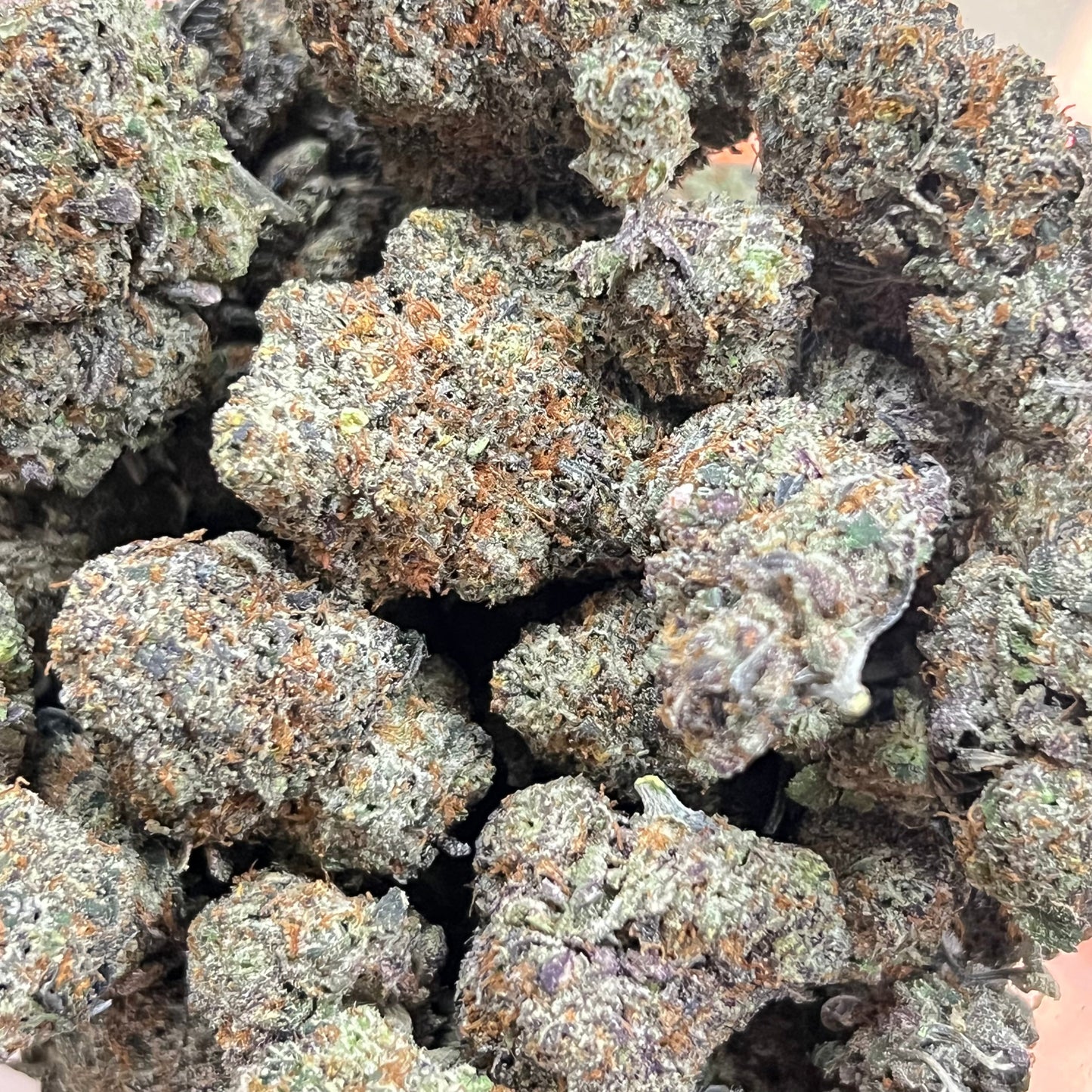 Halle Berry Platinum THC-A Flower