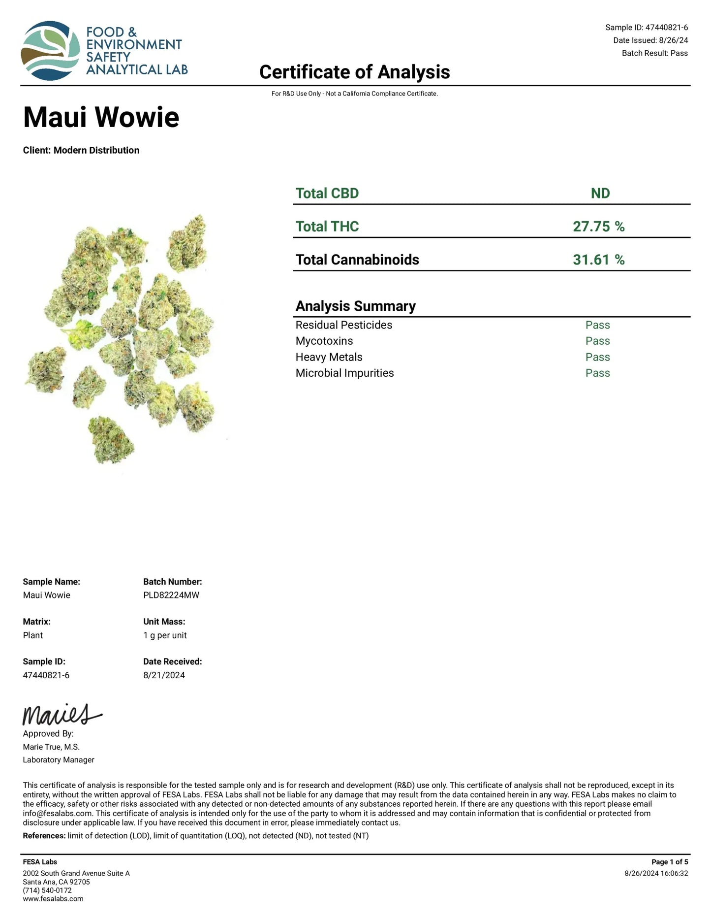 Maui Wowie Indoor Boutique THCa Flower - Hybrid - Elevate Montgomery - Sky High Montgomery cincinnati