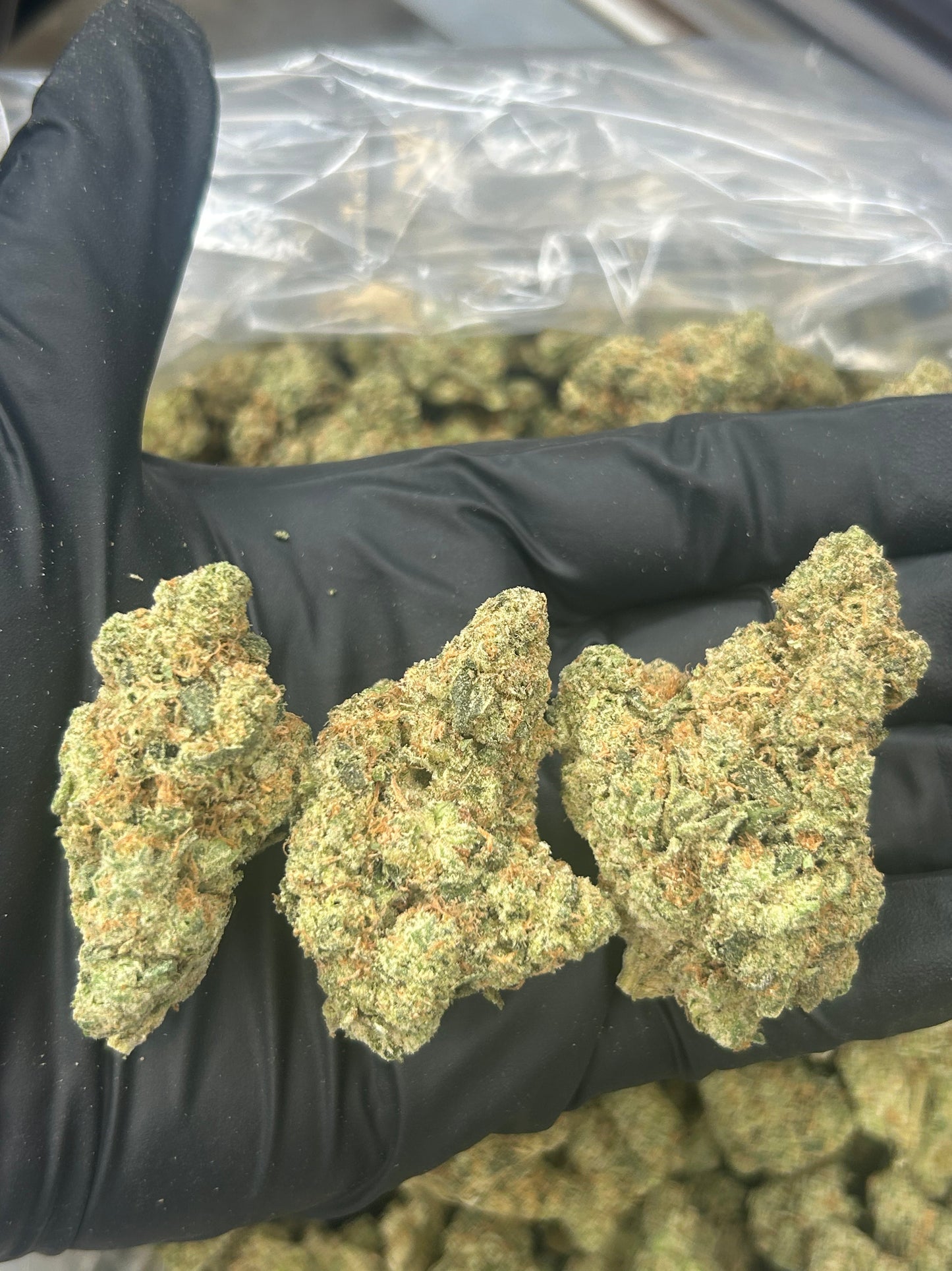Dante's Inferno AAA Small Batch THCA Flower-Hybrid