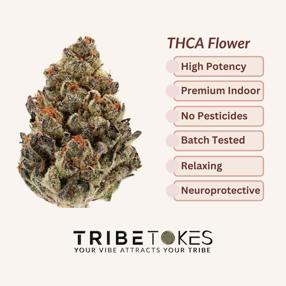 Tribe Tokes Top Shelf THCa Flower - Tribe Tokes - Sky High Montgomery cincinnati