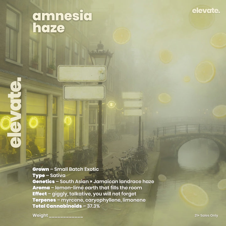 Amnesia Haze Smoker's Cup Flower jar label