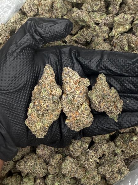 Blue Nerds Exotic Flower (Indica 32.6%)