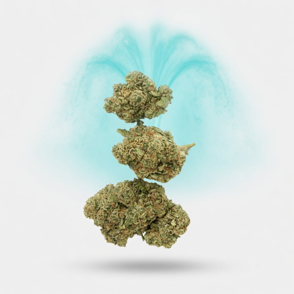 Chocolate Kush Boutique Flower