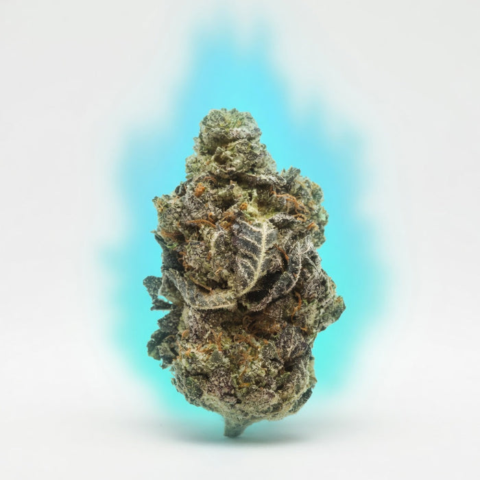 Alien Cookies Exotic Flower — Elevate fountain