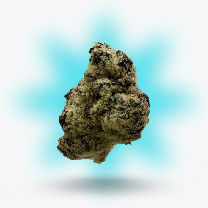 Apple Fritter Smoker's Cup Flower — Elevate fountain