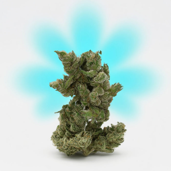 Banana Jet Greenhouse Flower — Elevate fountain