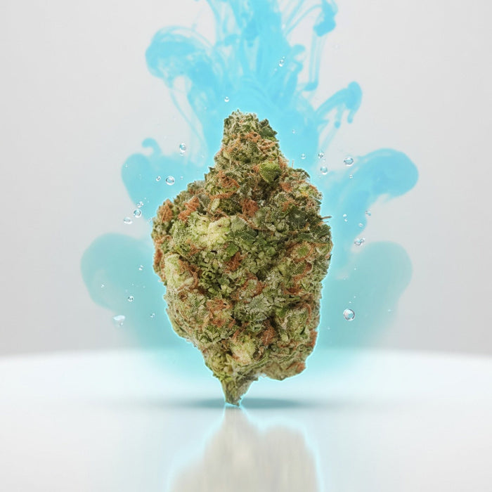 Pluto exotic flower bud — Elevate fountain