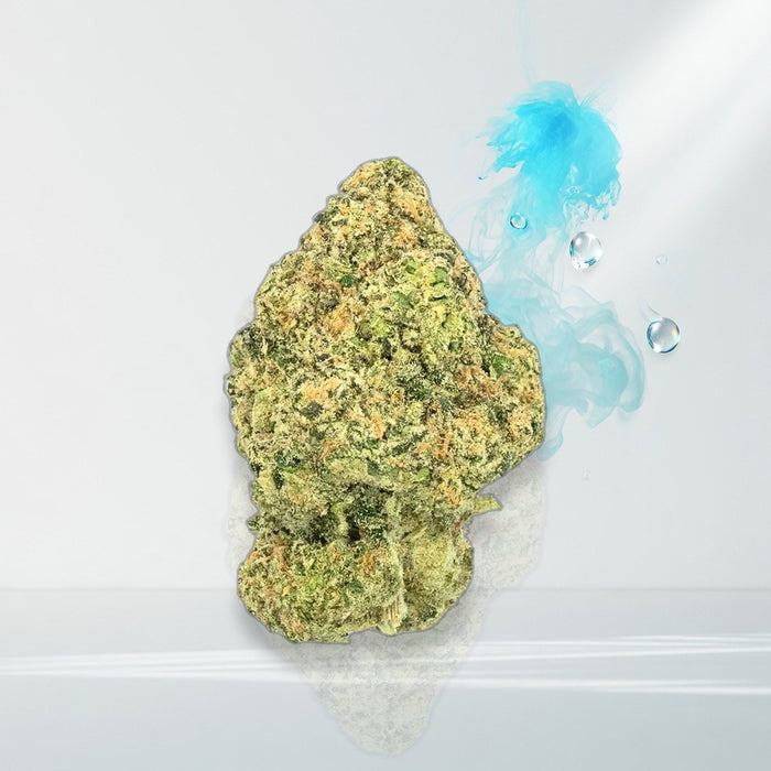 Raspberry Gas exotic flower bud — Elevate fountain