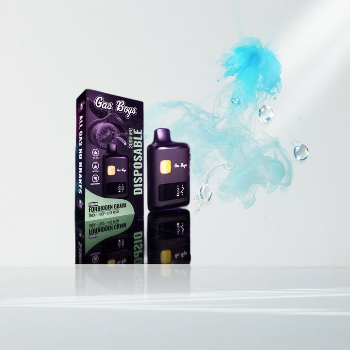 Gas Boys Liquid Diamonds Disposable 3000mg — Elevate fountain