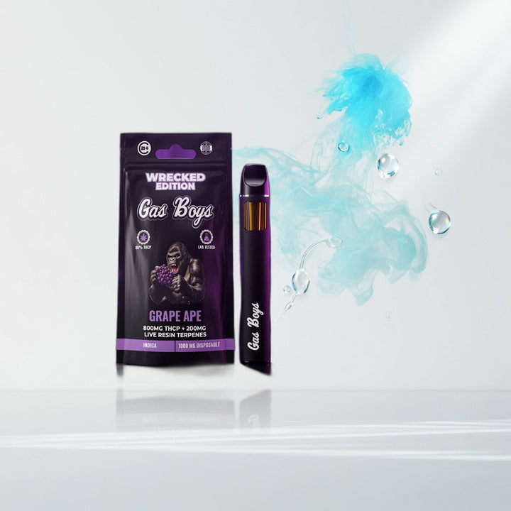 Gas Boys - Wrecked Edition - THCp Live Resin Disposable — Elevate fountain