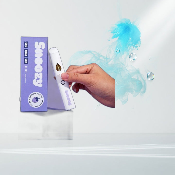 Snoozy - 1:1:1 - 2g Disposables — Elevate fountain