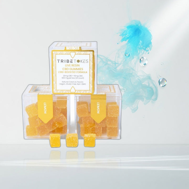 Tribe Tokes - D9 THC Gummies | CBD + CBG Boosted | Tangerine — Elevate fountain