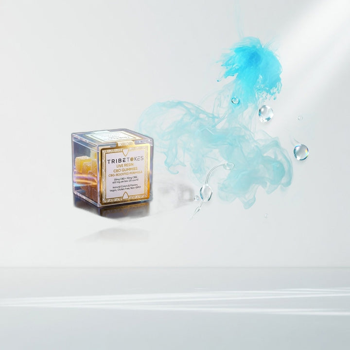 Tribe Tokes Live Resin CBD/CBG Gummy Cubes — Elevate fountain