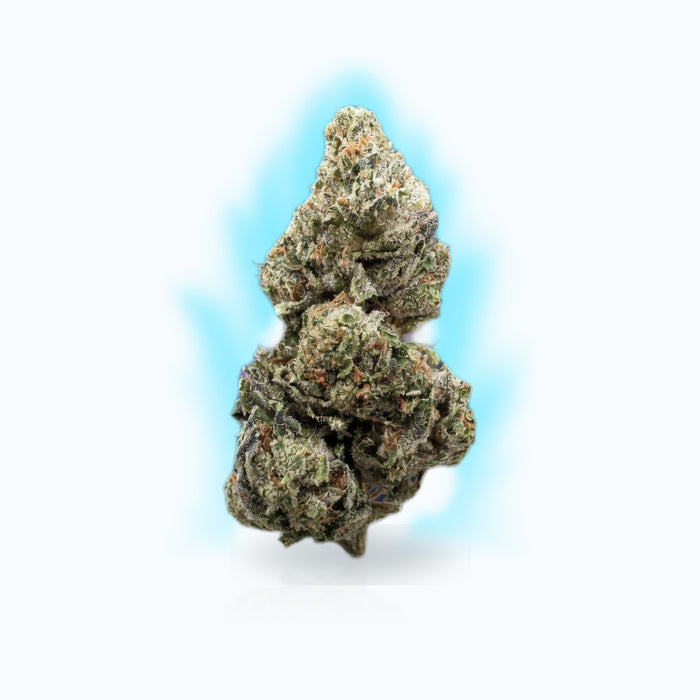 Magic Marker Smoker's Cup Flower (Hybrid 32.3%) — Elevate fountain