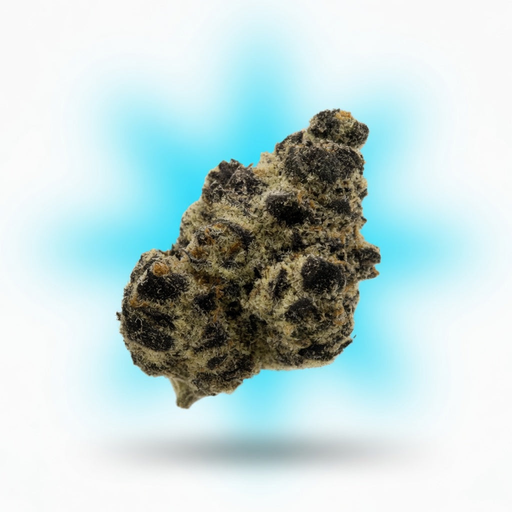 Pineapple Express Smoker's Cup Flower — Elevate fountain