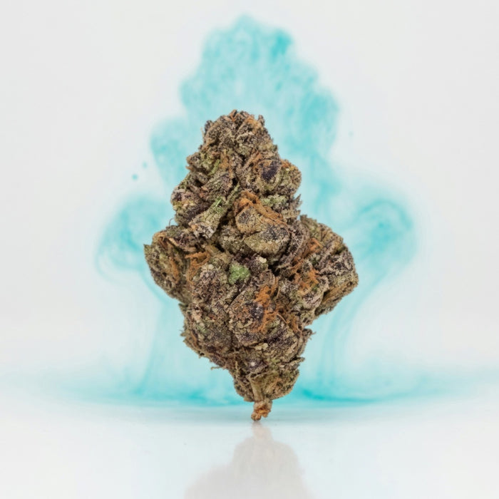 Purple Rhino Boutique Indoor Flower (Indica 27.52%) — Elevate fountain