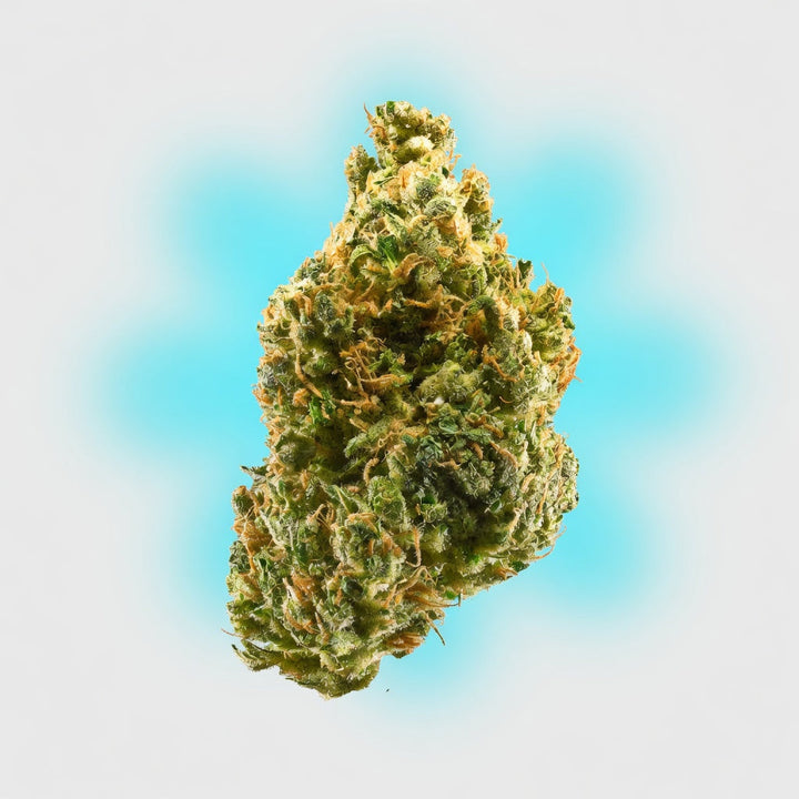 Tangie Exotic Flower — Elevate fountain