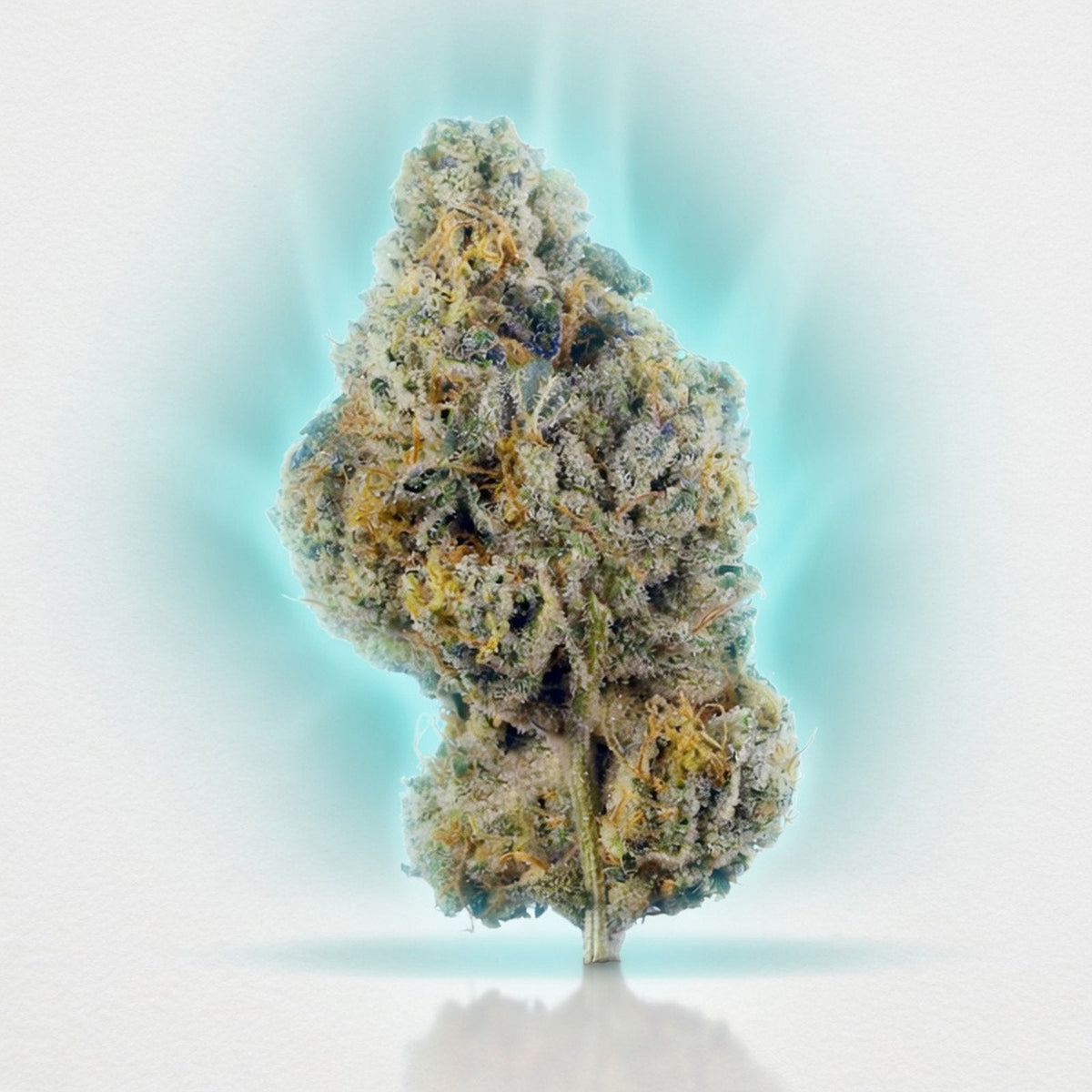 Wedding Cake Smoker's Cup Flower (Hybrid 40.29%) — Elevate fountain