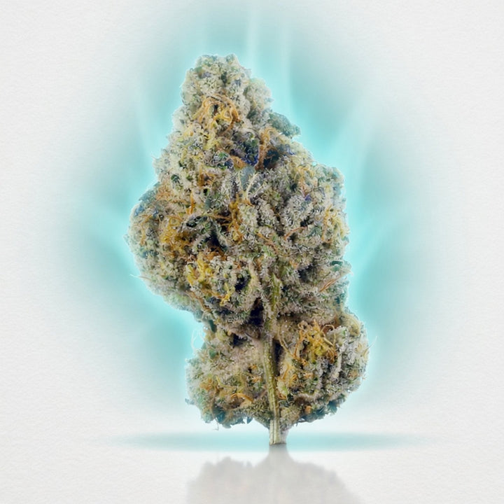 Wedding Cake Smoker's Cup Flower (Hybrid 40.29%) — Elevate fountain