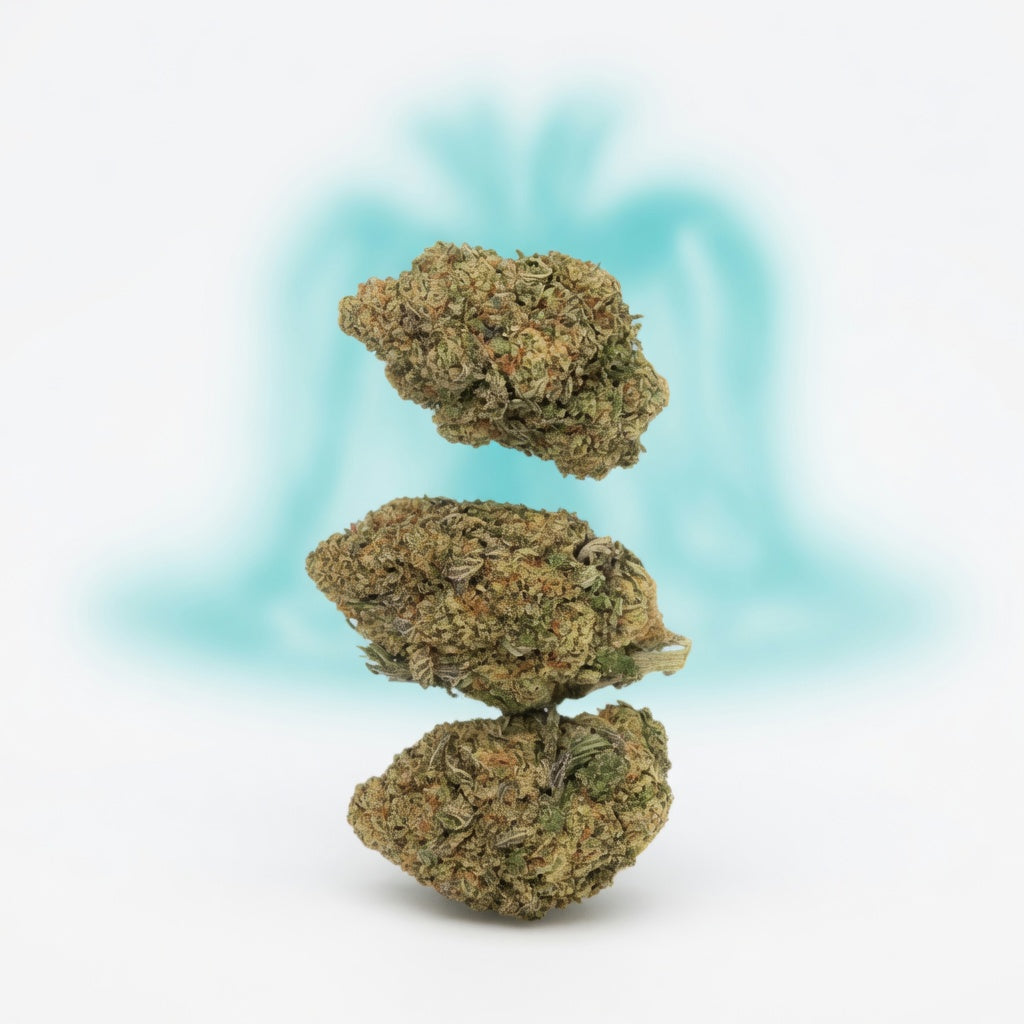 Headband Boutique Greenhouse Flower