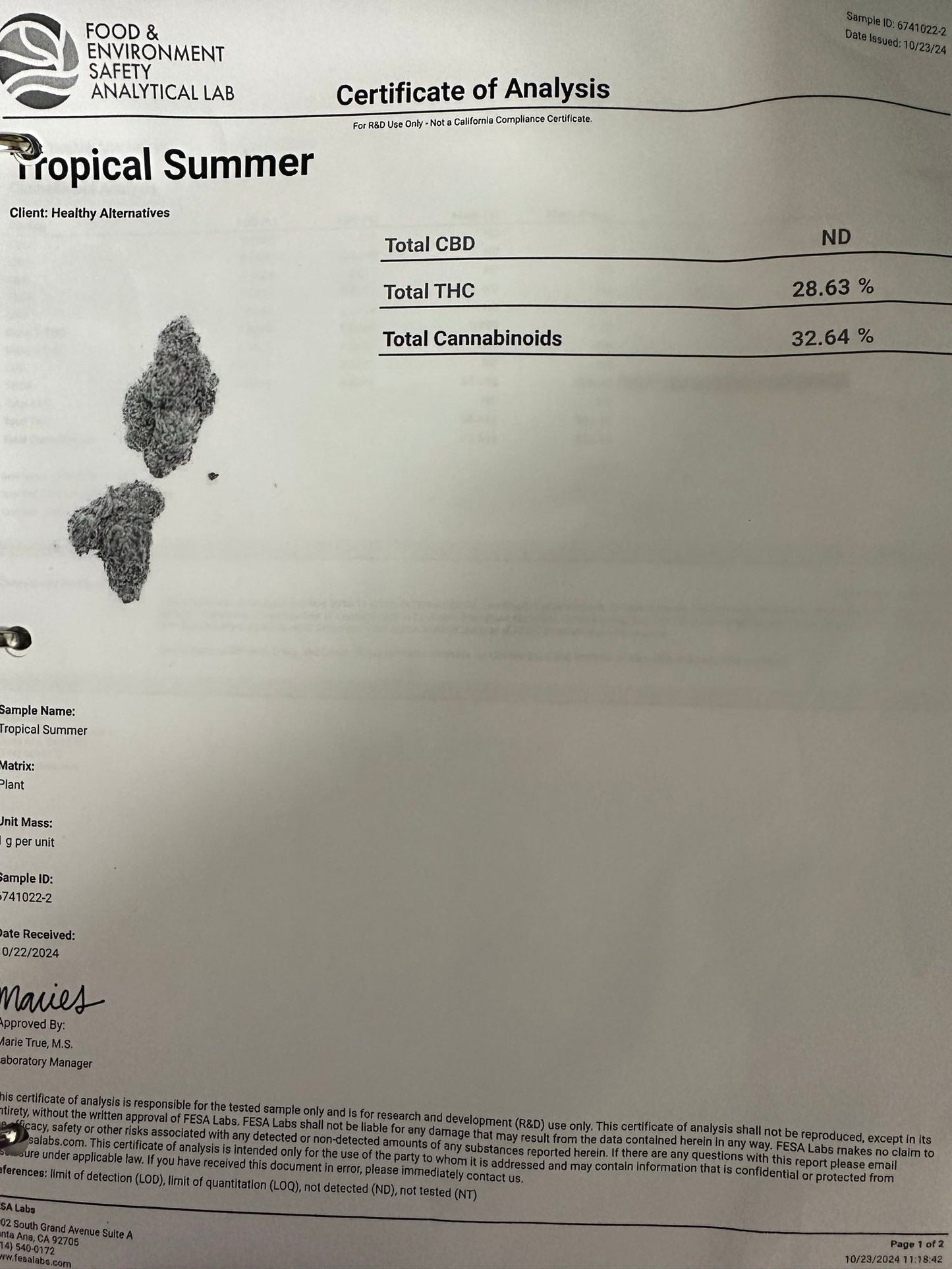 Tropical Summer Exotic Sativa-Dom THCa Flower