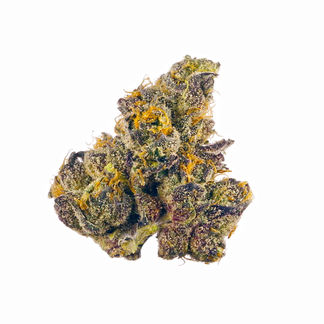 Gush Noir- Indoor Boutique Exotic Small Batch THCa Flower - Indica Dom - Elevate Montgomery - Sky High Montgomery cincinnati